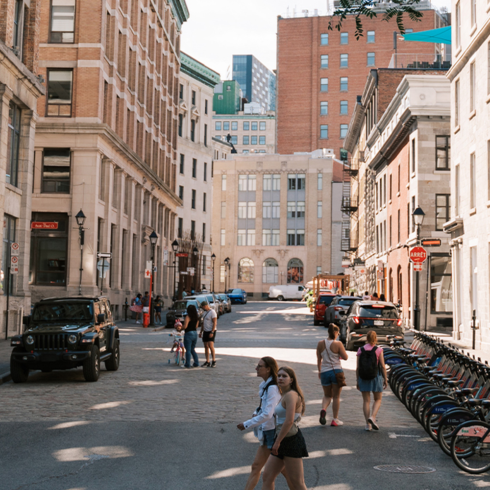 Discover members in our directory | SDC Old Montreal